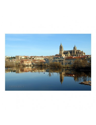 38449-4.jpg